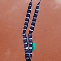 Broncos Lanyard